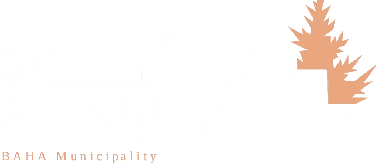 أمانة منطقة الباحة
